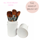 The Makeup Brush Kit
