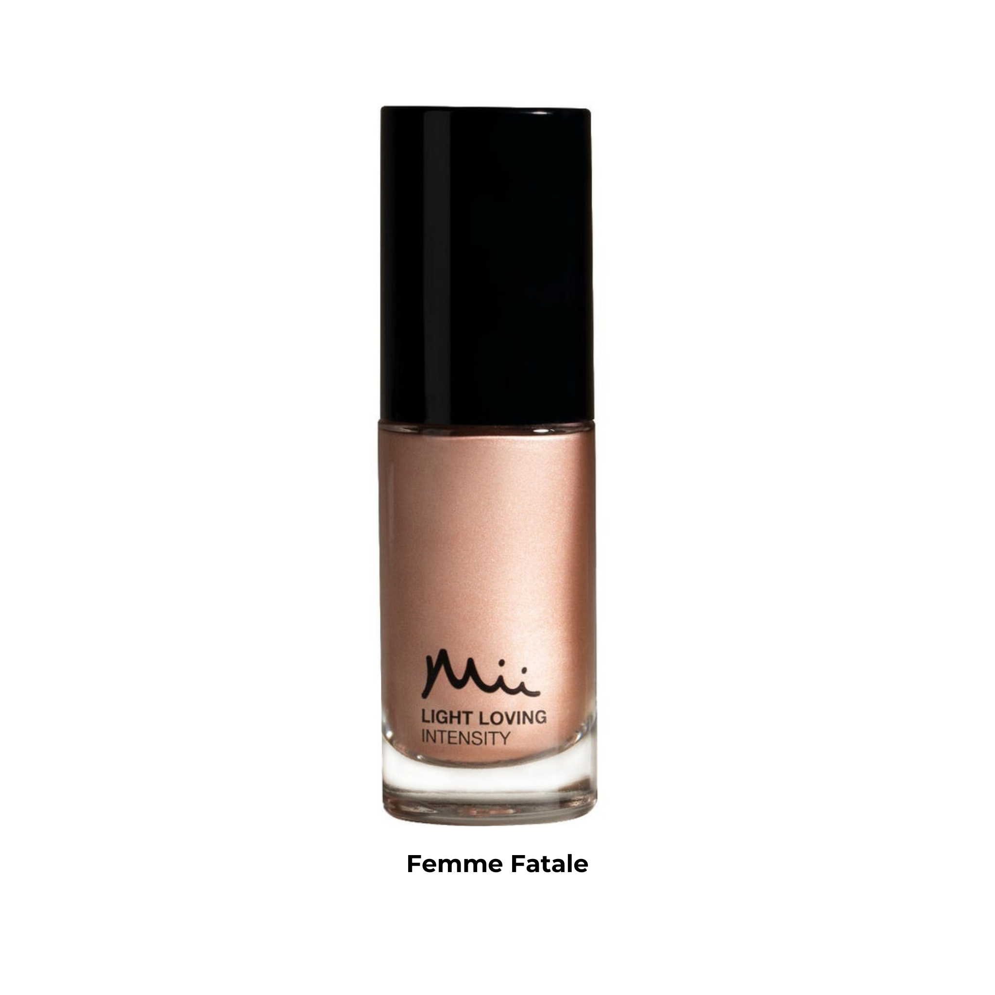 Highlighting The Basics Kit