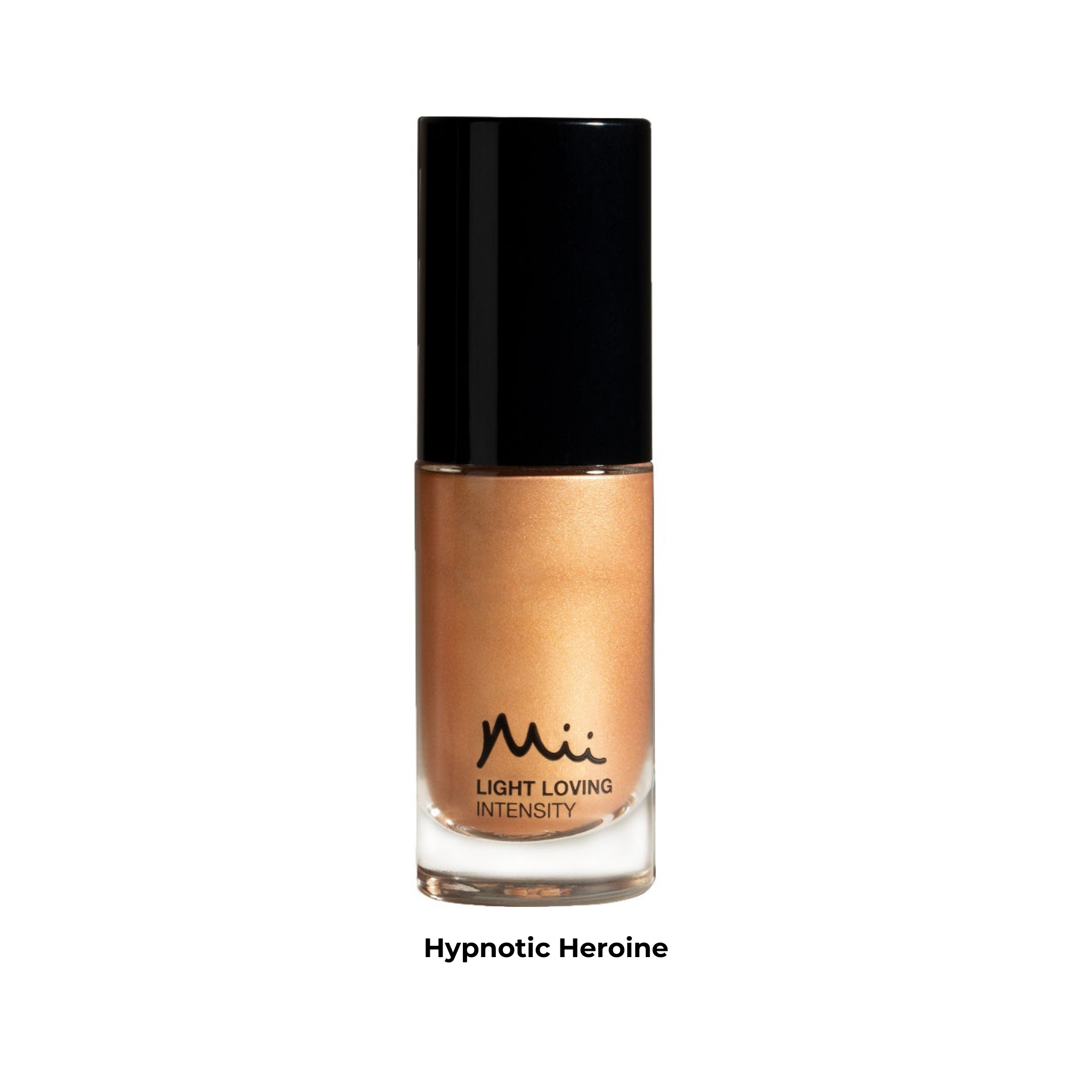 Highlighting The Basics Kit