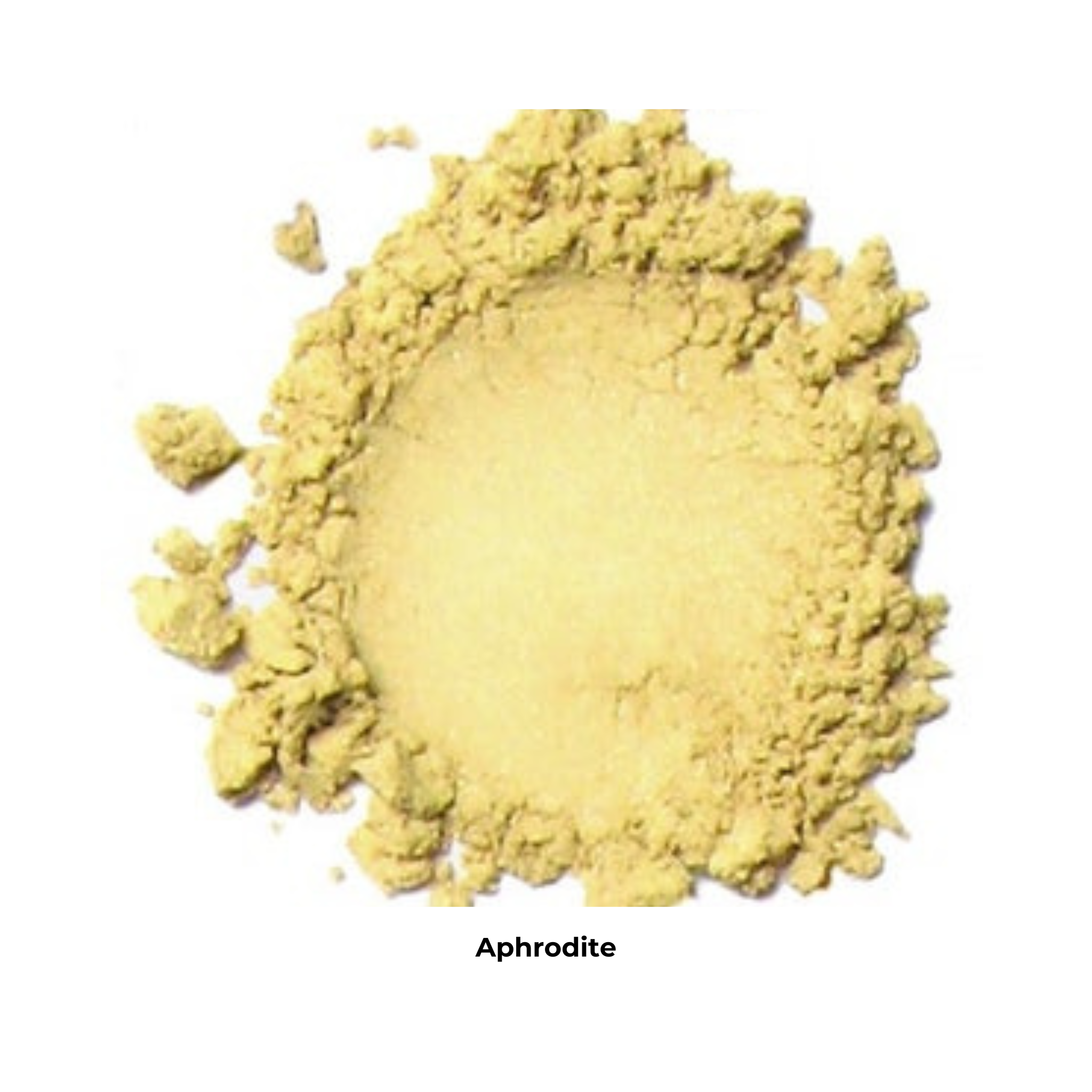 Kylie's Professional Mineral Powder Foundation