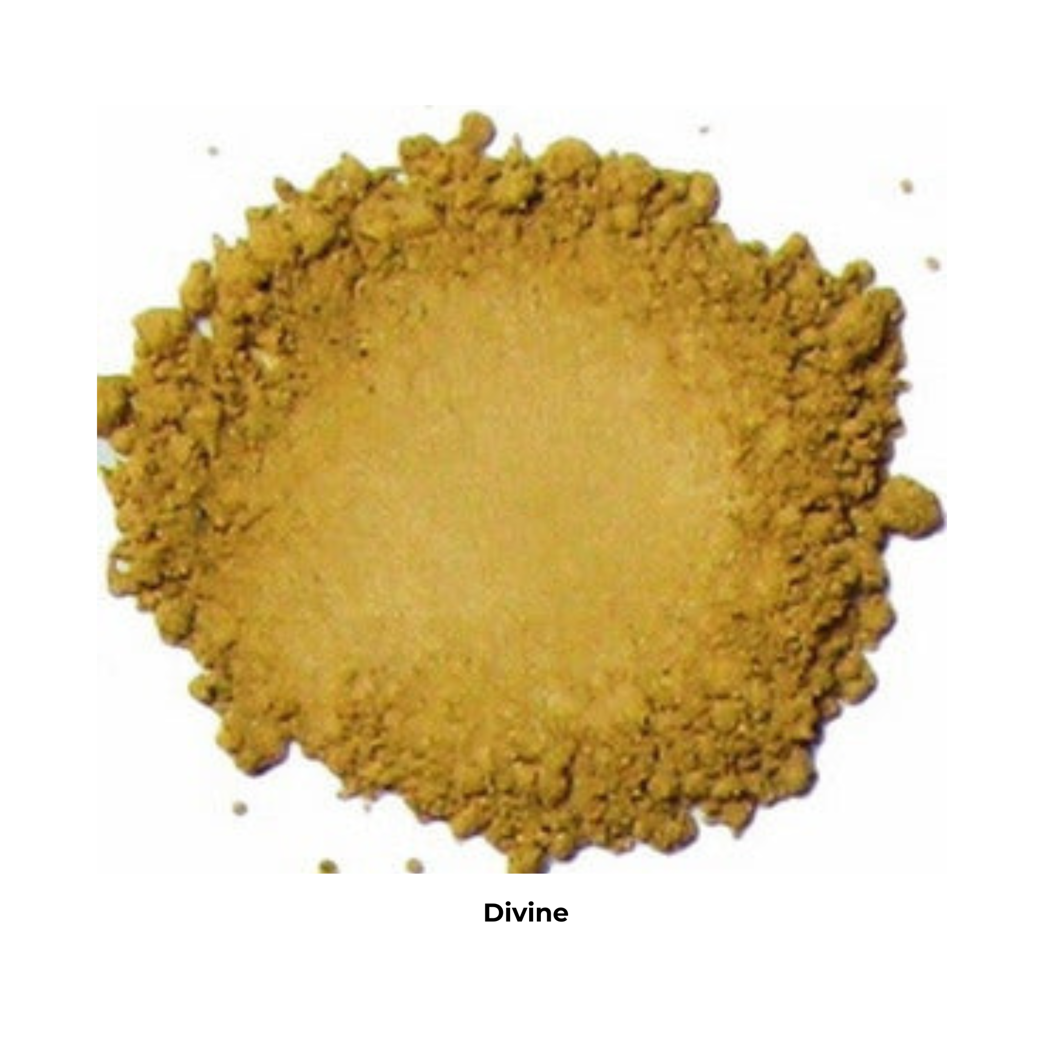 Kylie's Professional Mineral Powder Foundation